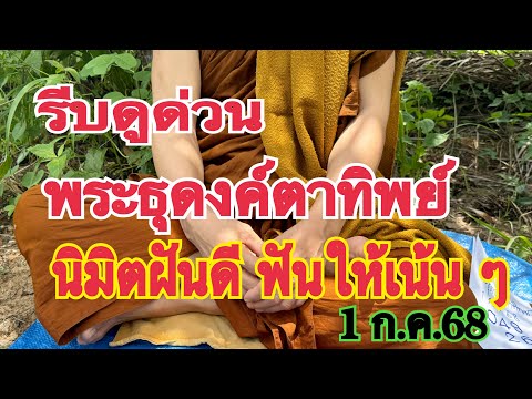 รีบดู รีบลงทุนด่วน #พระธุดงค์ตาทิพย์ นิมิตฝันดี ฟันให้เน้น ๆ งวดนี้มาแน่ 1 ก.ค.68