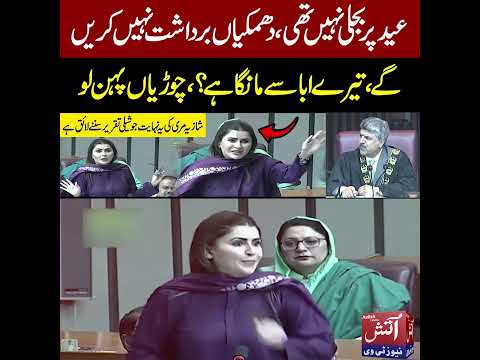 Shazia Marri Furious Speech In NA ! I Am Asking For Electricity, Not Your Father's Property