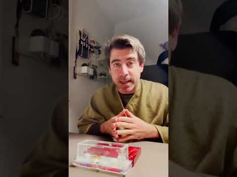 ⚠️ Tengo que salvar a mis hormigas 🐜