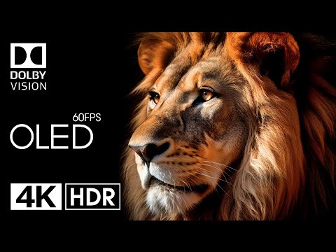 MEILLEUR DE LA VIDÉO ULTRA HD Dolby Vision HDR 4K (60 FPS)