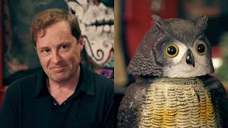 ardal o'hanlon being the "charming" irishman on taskmaster for 34 minutes