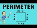 Understanding Perimeter of a Square