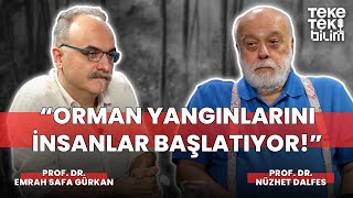 Orman yangınlarının sebepleri / Emrah Safa Gürkan & Nüzhet Dalfes - Teke Tek Bilim