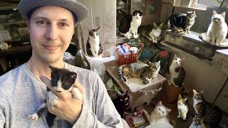 ゴミ屋敷から子猫を救出した