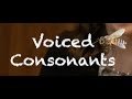 Voiced and Unvoiced Consonants
