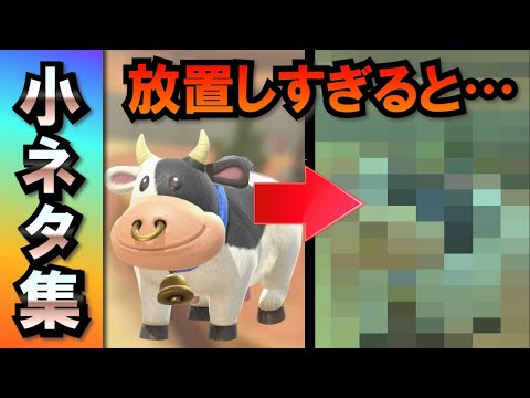 【Switch2】マリオカートワールド 小ネタ集