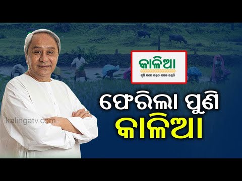 Odisha: Kalia Yojana Budget 2021-2022 || Kalinga TV