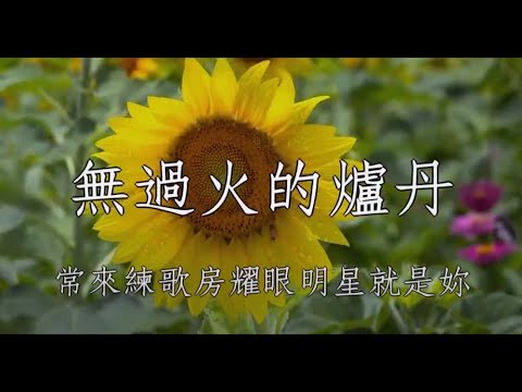 無過火的爐丹 陳言寧 女調卡啦OK伴唱