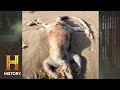 Mystery on the Beach: Alex Tan's Encounter