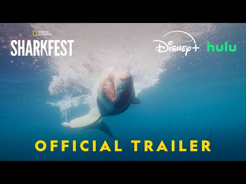 Sharkfest 2025 | Official Promo | National Geographic
