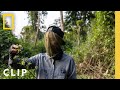 Exploring Unique Ingredients in the Rainforest