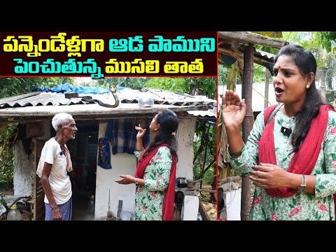 ఆడ పాముని పెంచుతున్న ఒక తాత ||Old man Raising a snake from 12years|| Anchor Sridevi || MS Sridevi