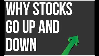 What Makes a Stock go UP? - NIO @nio_global