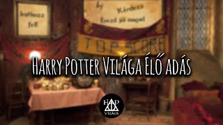 Kánon rangsor és sorsolás! | LIVE | Harry Potter Világa