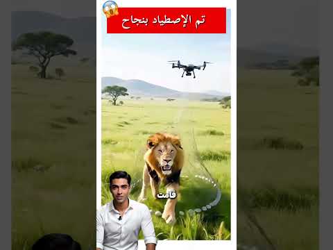 🦁🚫 "الأسد حاول الهرب... لكنهم أمسكوا به!" #shorts