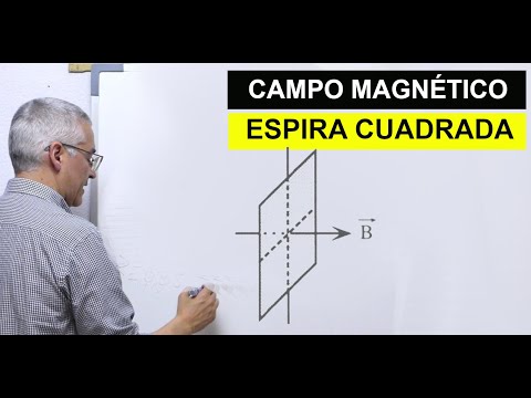 Espira cuadrada. Flujo magnético. Selectividad. Electromagnetismo. Física