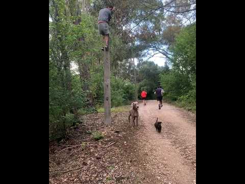 hide & seek taken to another level
