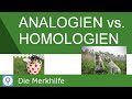 analogien-homologien-nachweis-von-homologien/