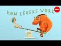 Understanding Levers and Simple Machines