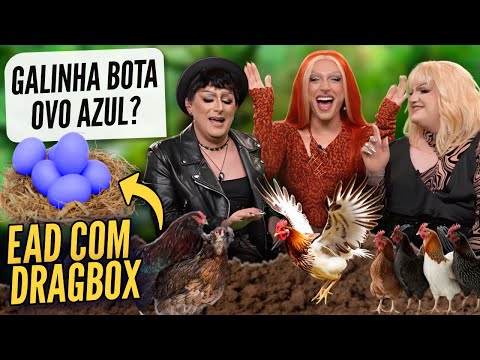 Diego Martins Responde Perguntas no EAD com Dragbox