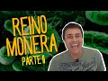 Reprodução no Reino Monera