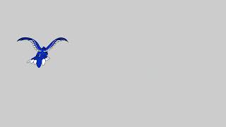 Blue jay to Eel Morph Demo