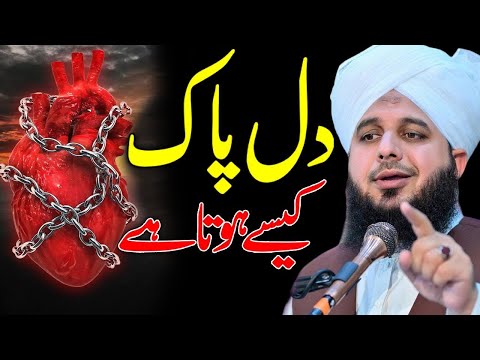 Peer Ajmal Raza Qadri || DIL PAK New Bayan || beautiful bayan by ajmal raza qadri