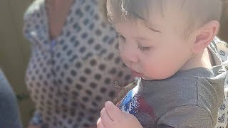 Little Baby Tried Eating Lizard