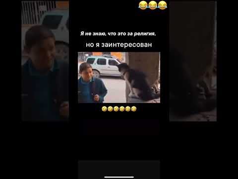 Кот даёт благословение на хороший день и теперь не один котоклизм не страшен???