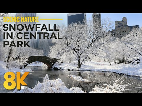 8K HDR Snowfall Serenity at Central Park, NYC - Peaceful Winter Scenes + Authentic Sounds