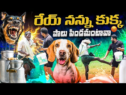 రేయ్ నన్ను కుక్క పాలు పిండమంటావా 😂ఫన్నీ ప్రాంక్ 👌AR PRANK BOYS 🙏