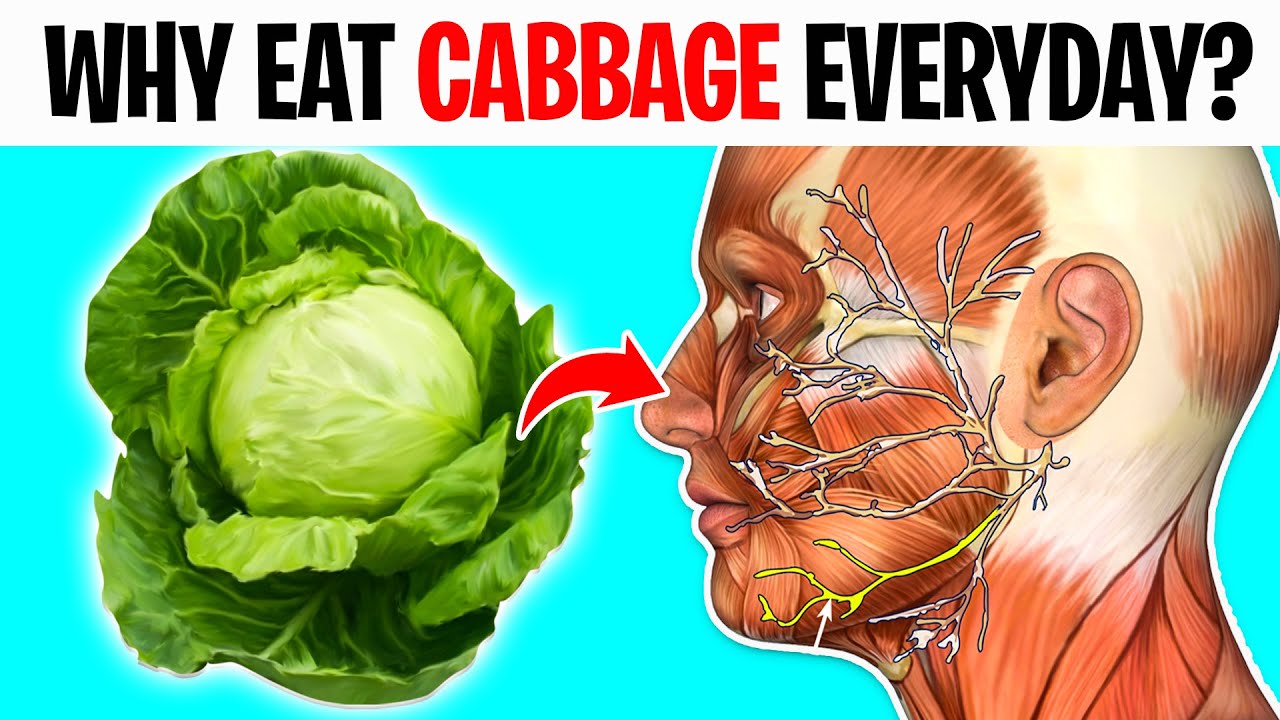 What Happens To Your Body When You Eat Cabbage Everyday