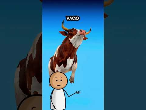 Así se encogen en el vacío #cortos