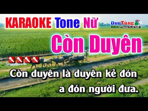 Karaoke || Còn Duyên – Tone Nữ || Nhạc Sống Duy Tùng