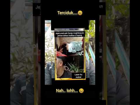 TERCIDUK? pegi Setiawan cianjur | Pake laser mahal loh guys? #pegisetiawan #vinacirebon