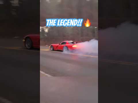 THIS is My Neighbor at 7 am EVERYDAY! //