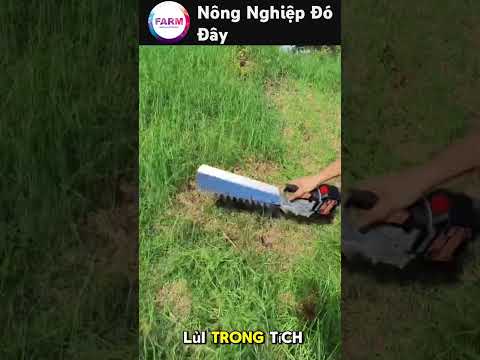 Máy cắt cỏ cầm tay lưỡi dài Giải pháp dọn cỏ nhanh gọn cho mọi địa hình#nongdan#nongnghiep#mientay