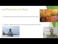 Understanding Plant Biology Concepts