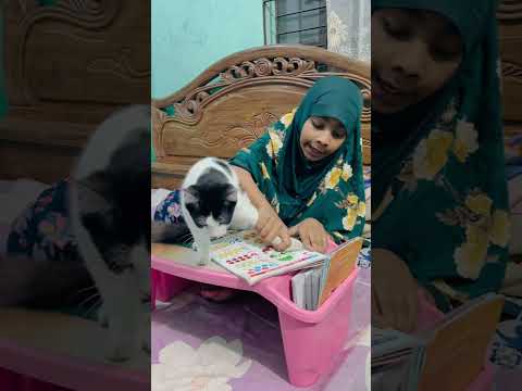 কানাডা পড়তে বো😫 #cat #anmals #foryou #sandy #viralvideo #share #shorts