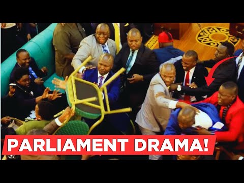 CHAOS IN PARLIAMENT!! Fight erupts in the house after Azimio Mp's collided with UDA live.