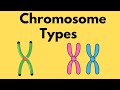 Chromosome Structure and Function