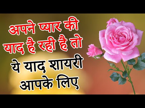 अपने प्यार की याद आ रही है तो ये शायरी सुनो | Heart touching shayari | दिल छू लेने वाली याद शायरी