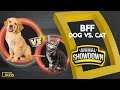 Animal Companions and Their Traits