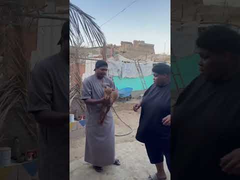 ٥ فبراير، ٢٠٢٣