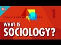 Sociology Concepts and Perspectives