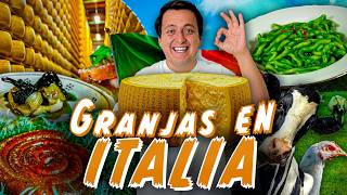 Comiendo en Granjas Italianas! 🇮🇹🐓🍝