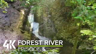 Nature ASMR for Focus & Relaxation | 4K Peaceful Forest River Ambience as Natural Stress Relief - #5