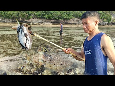 Berburu Di air laut Dangkal, Ikan Dan Sotong Banyak Yg Terjebak | Catch & Cook