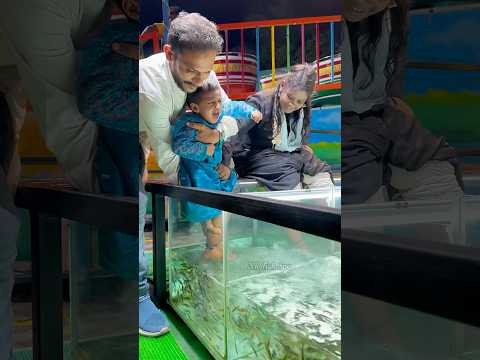 NR Fish Spa🥰 Besant Nagar beach +919952085544 #youtubeshorts #spa #cute #fish #yt #youtube #chennai