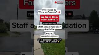 🇨🇦 Hiring Dairy Farmers | canadacareersite.com